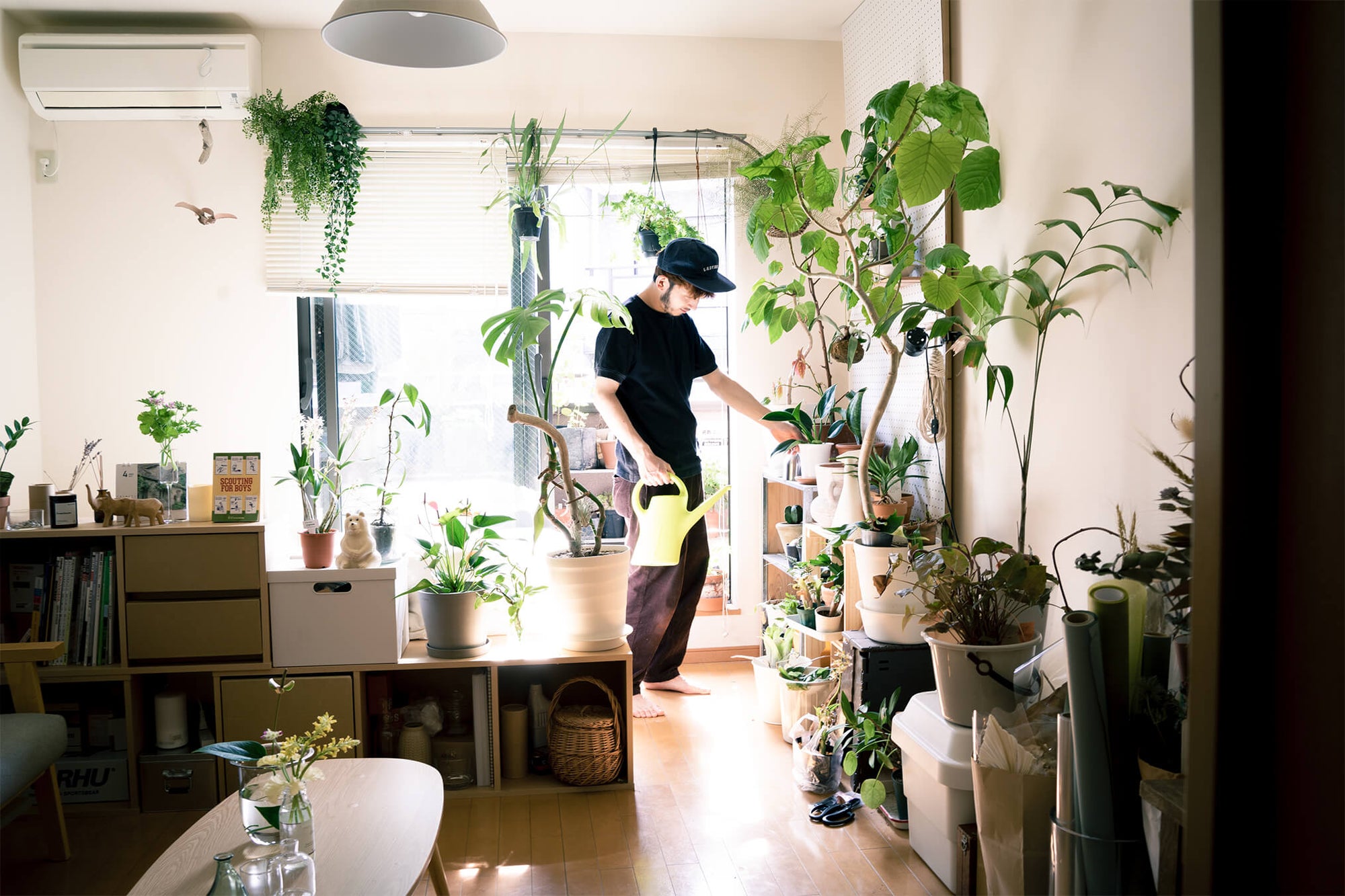 まるで小さな植物屋。アイデアとセンスを散りばめたフローリストの1K暮らし
