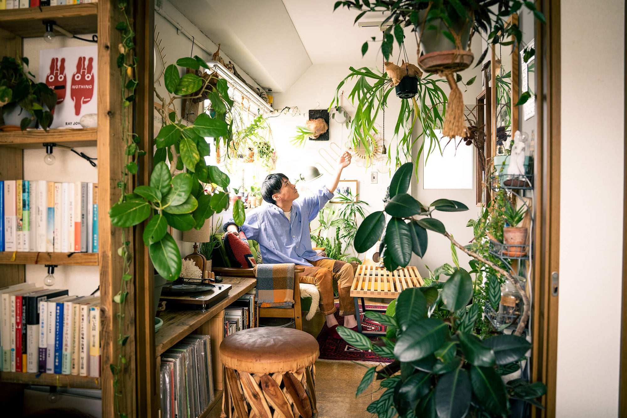1DKに100の植物と暮らす。物語のワンシーンのような部屋ができるまで。