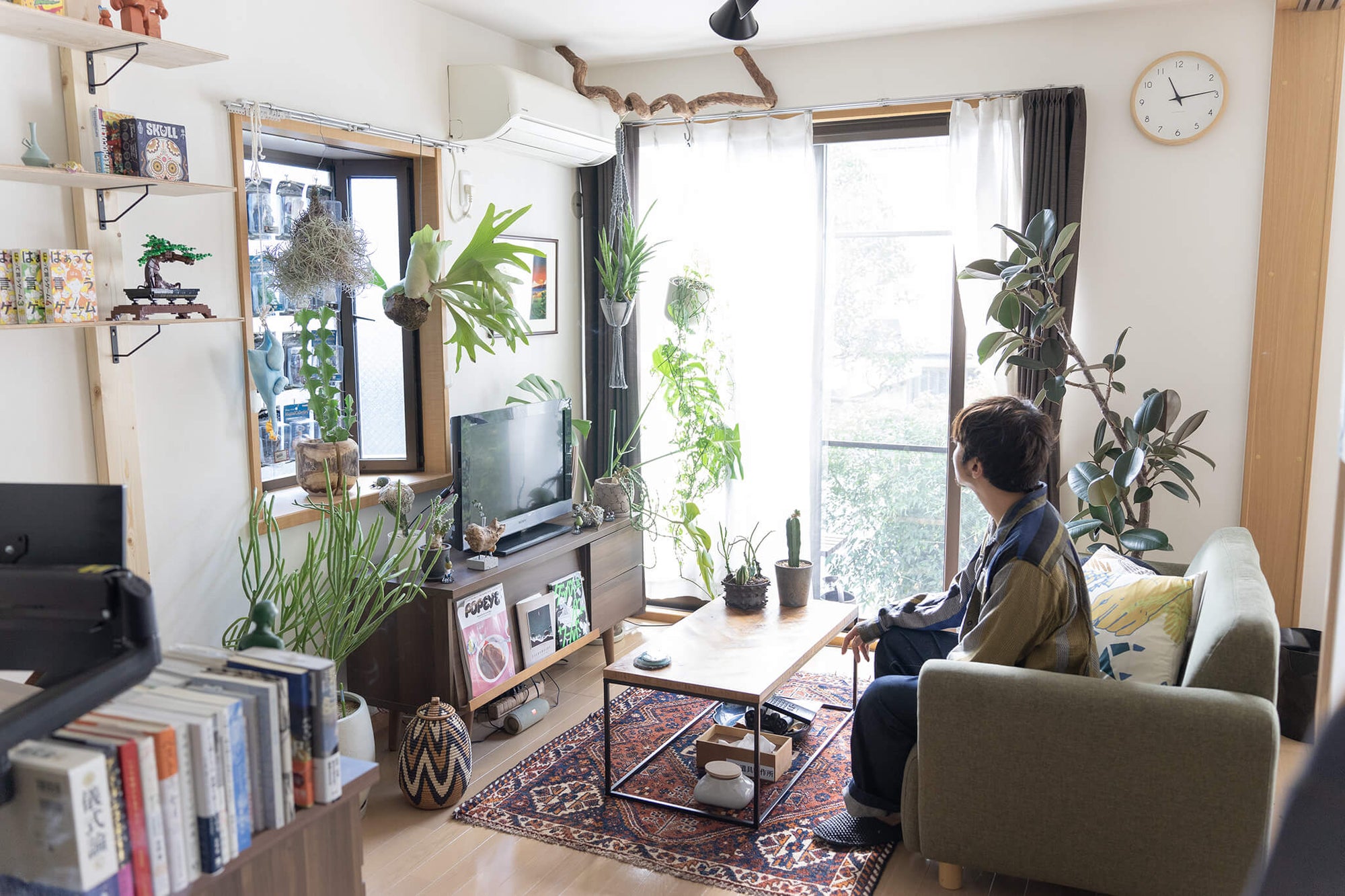 漫画2000冊と植物と暮らす。フリーランスディレクターが「好きだなあ」と思わず言ってしまう家とは