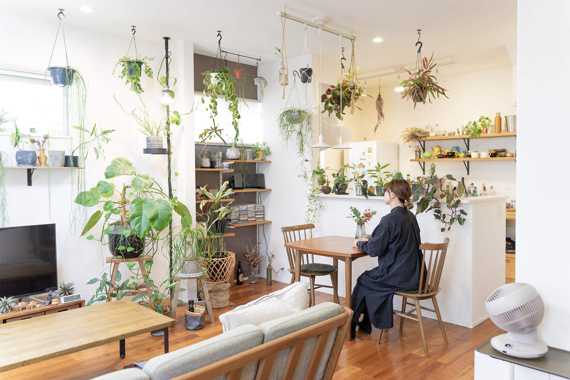 北向きリビングと週一管理でも植物は楽しめる。アンドプランツ植物バイヤーが暮らす家