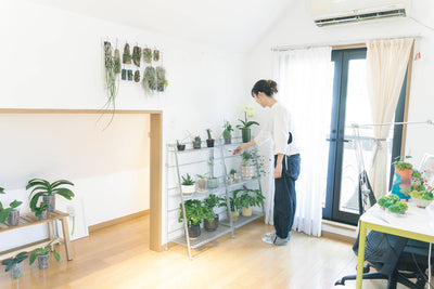 植物愛が溢れる！都内で暮らすアーティストが綴る、植物と光に染まる屋根裏の日々。