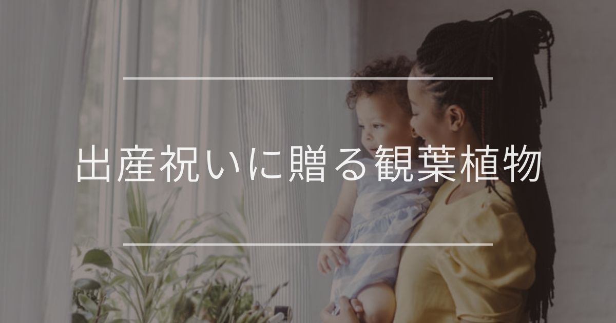 出産祝いに贈る観葉植物｜素敵な花言葉をもつおすすめギフトと贈り方を紹介