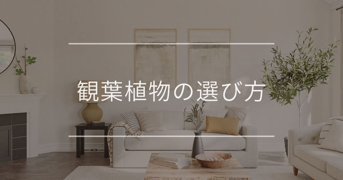 観葉植物の選び方