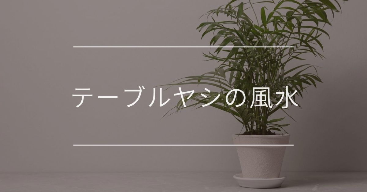 テーブルヤシ