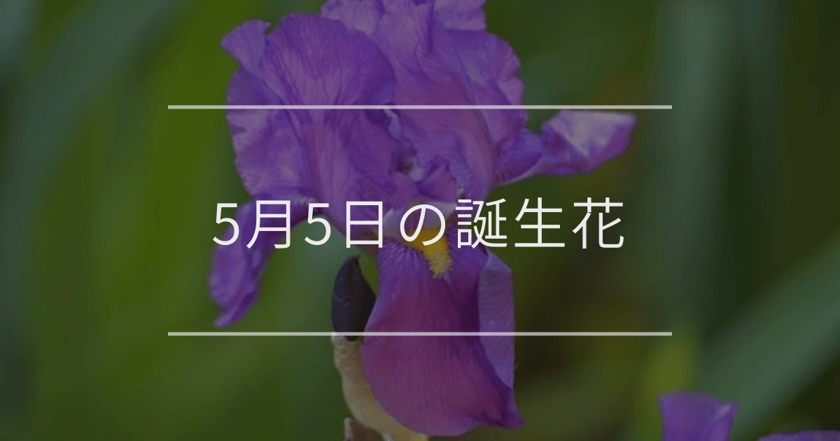 5月5日の誕生花