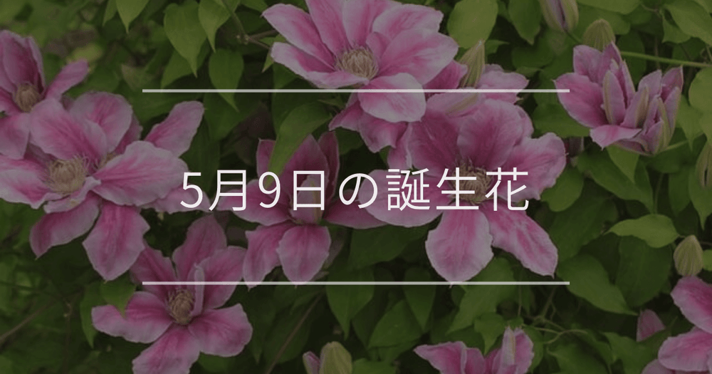5月9日の誕生花：クレマチス・キリ(桐)の花言葉など