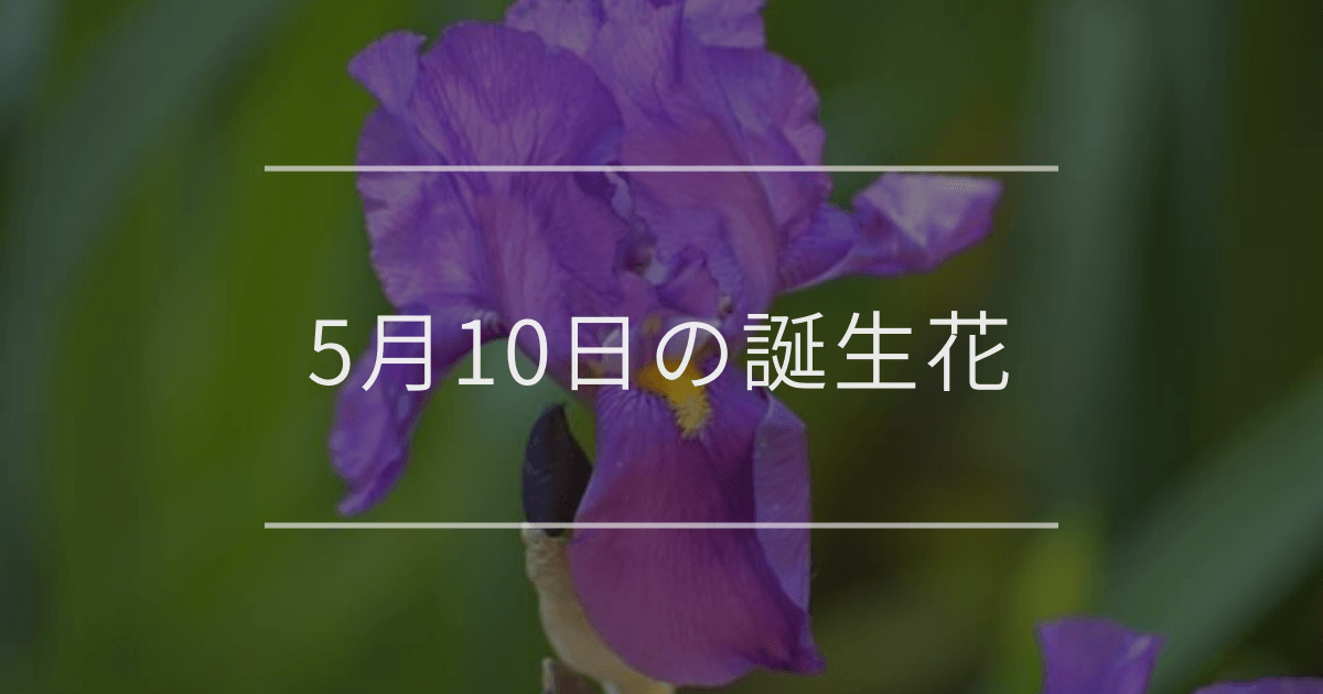 5月10日の誕生花