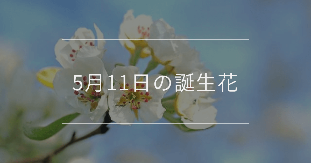 5月11日の誕生花