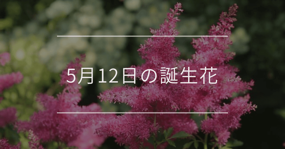5月12日の誕生花：アスチルベ・ツンベルギアなどの花言葉