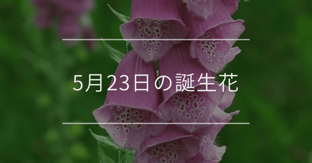 5月23日の誕生花：ジギタリス・ゴデチアの花言葉など