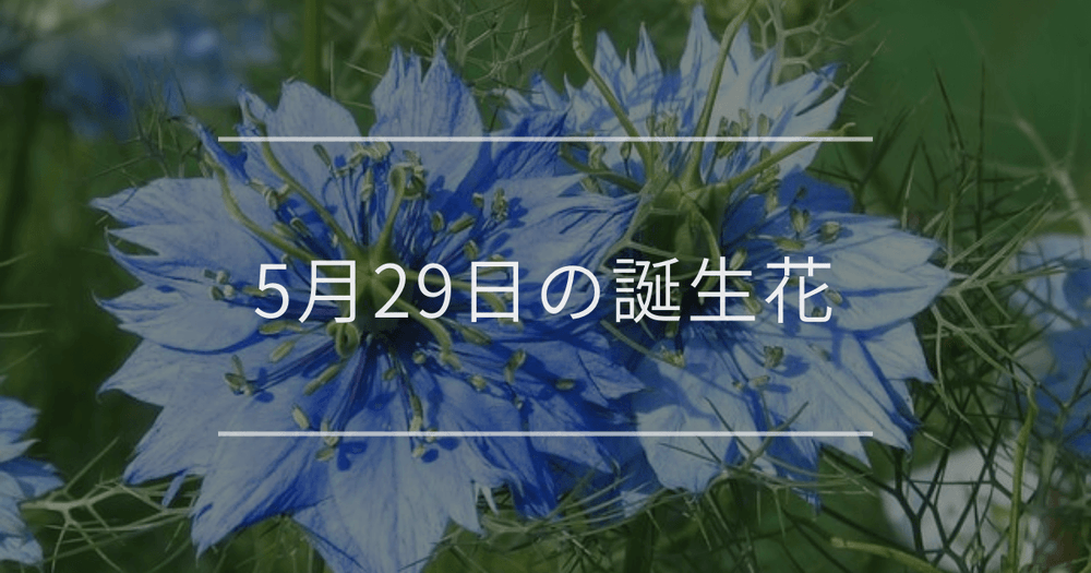 5月29日の誕生花：ニゲラ・オダマキの花言葉など