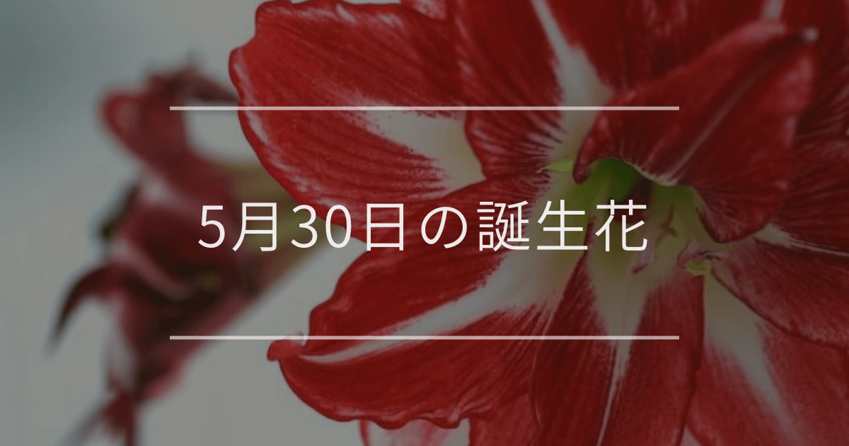 5月30日の誕生花