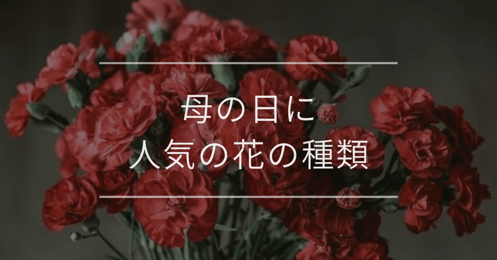 母の日に人気の花の種類13選｜伝えたい花言葉別や花ギフトも紹介