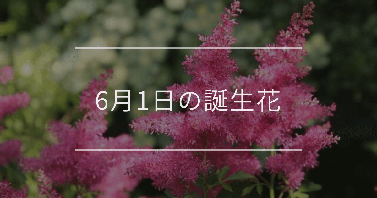 6月1日の誕生花
