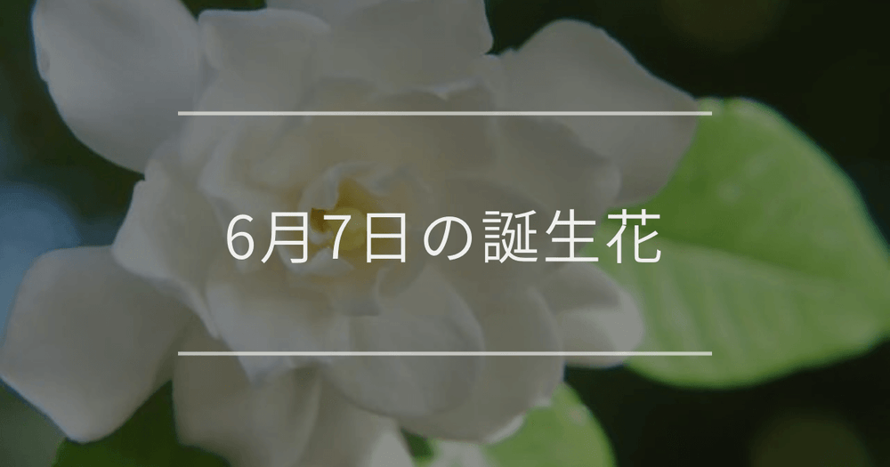 6月7日の誕生花：クチナシ・ツツジの花言葉など