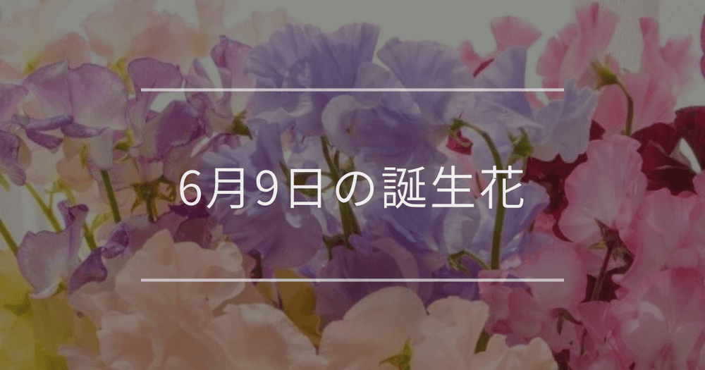6月9日の誕生花：スイートピー・ガウラの花言葉など