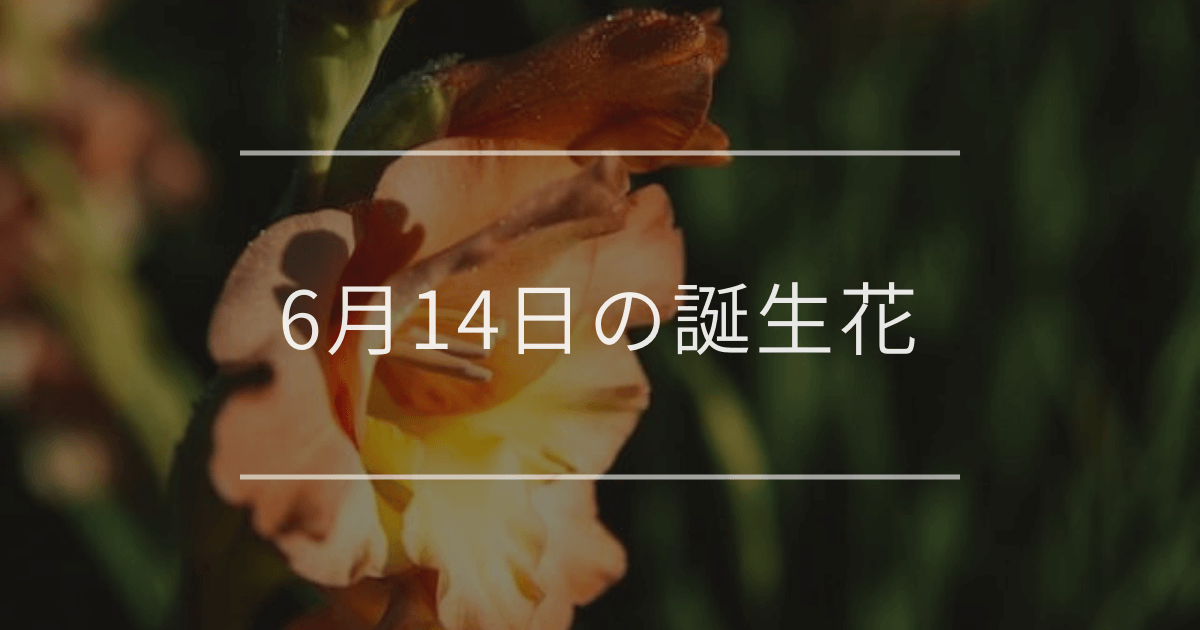 6月14日の誕生花