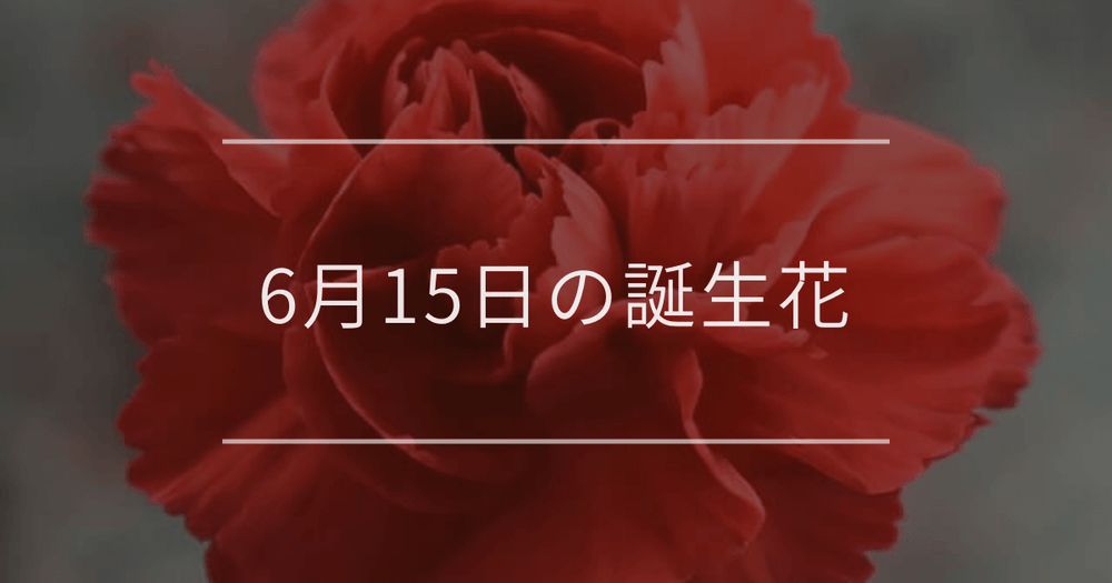 6月15日の誕生花：カーネーション・ヤマボウシの花言葉など