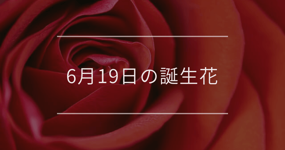 6月19日の誕生花：バラ・イキシアの花言葉など