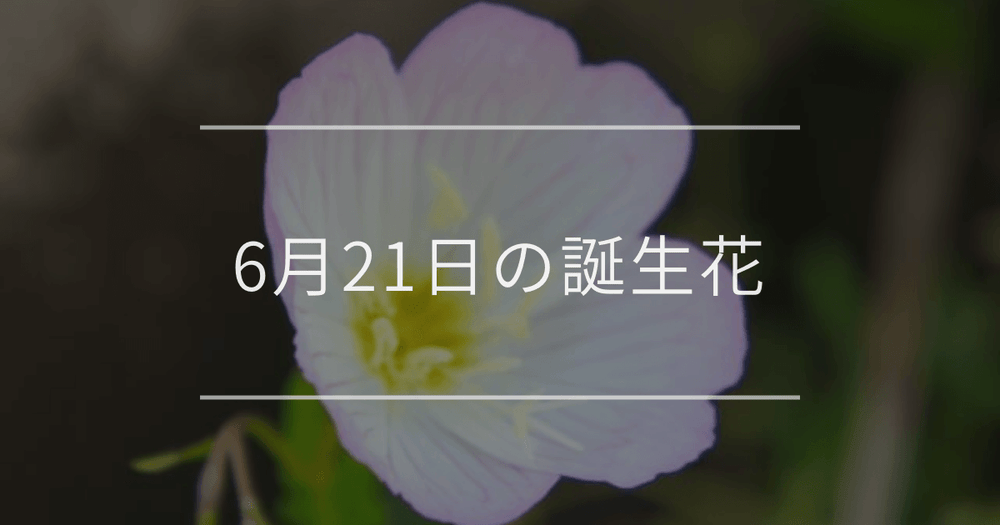 6月21日の誕生花：ツキミソウ・アスチルベの花言葉など