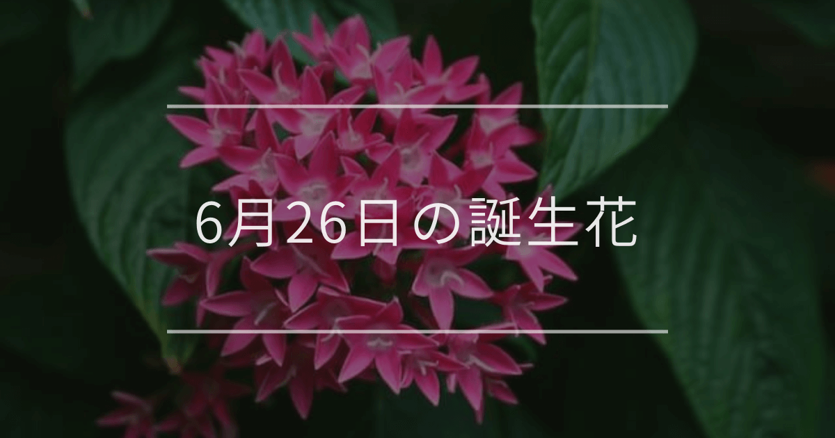 6月26日の誕生花