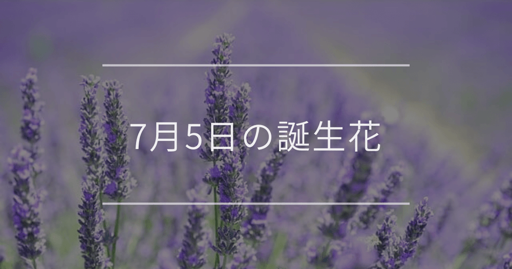 7月5日の誕生花：ラベンダー・ロベリアの花言葉など