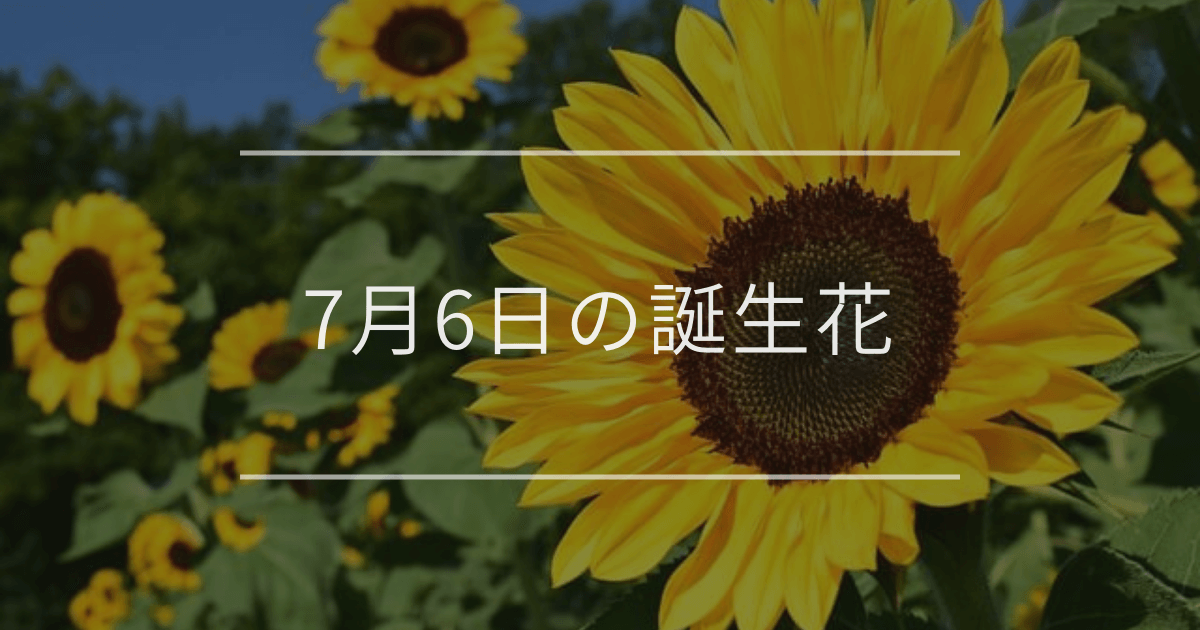 7月6日の誕生花