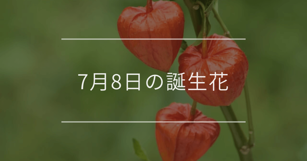 7月8日の誕生花