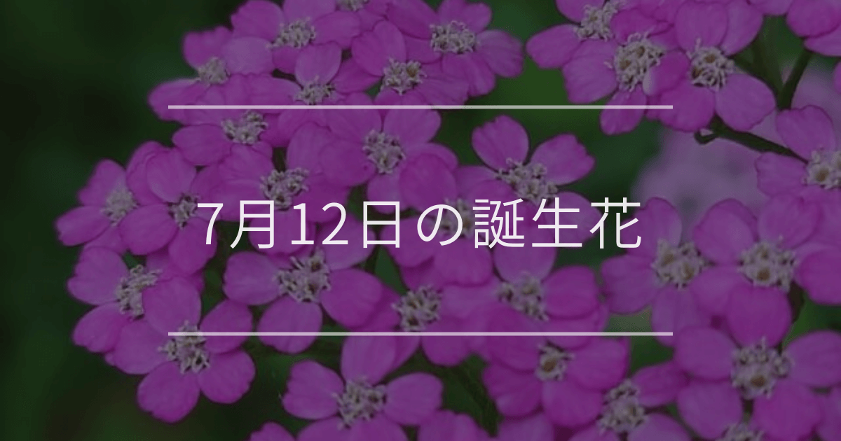7月12日の誕生花