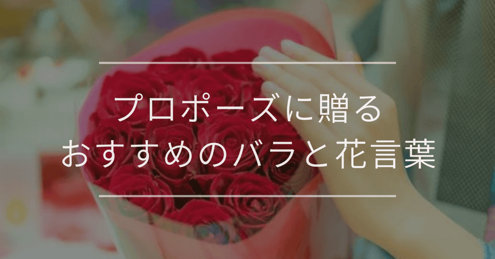 プロポーズに贈るバラ｜本数・色別のおすすめや注意点
