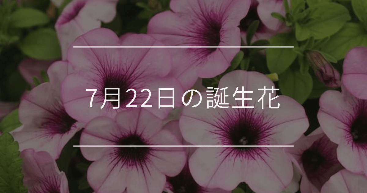 7月22日の誕生花
