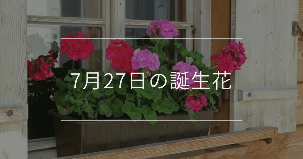 7月27日の誕生花：ゼラニウム・ハナトラノオの花言葉など