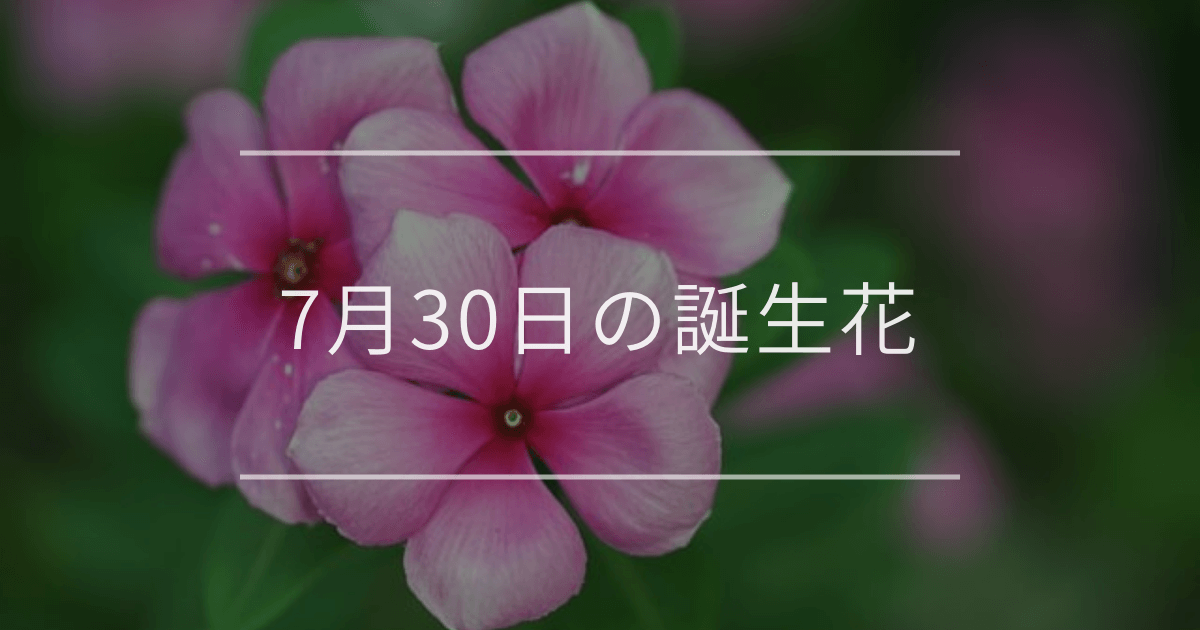 7月30日の誕生花
