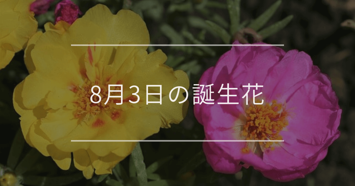8月3日の誕生花