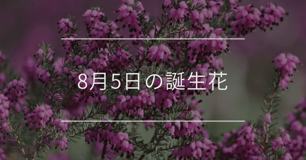 8月5日の誕生花：エリカ・ムラサキツユクサの花言葉など