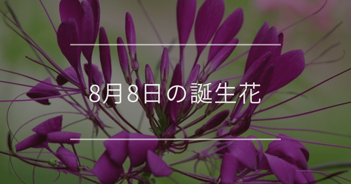 8月8日の誕生花