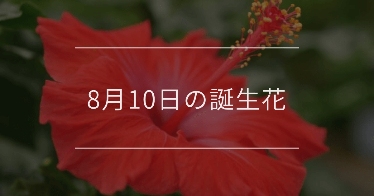 8月10日の誕生花