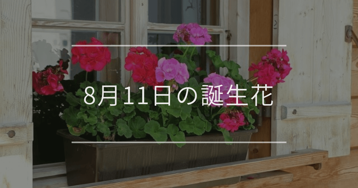8月11日の誕生花