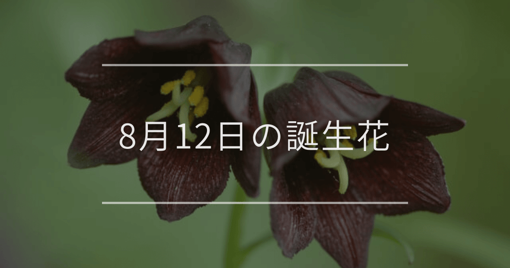 8月12日の誕生花：クロユリ・キョウチクトウの花言葉など