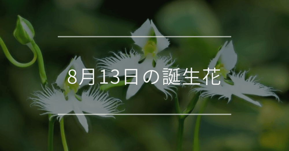 8月13日の誕生花：サギソウ・カンナの花言葉など