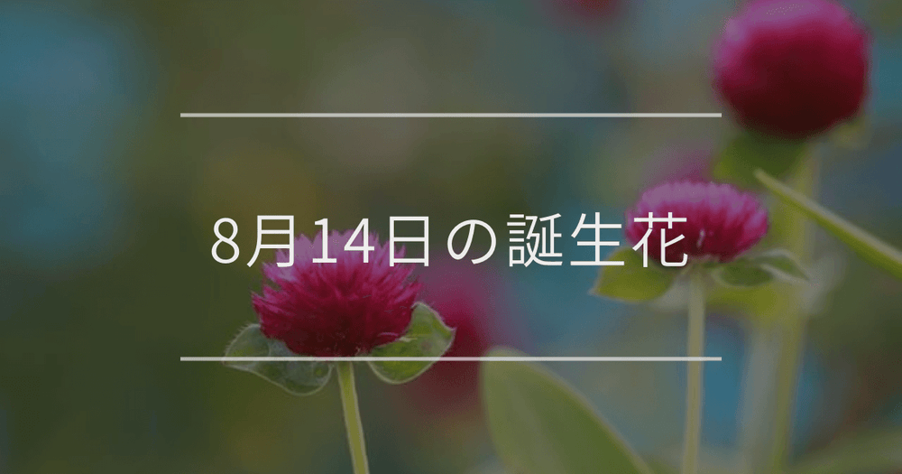 8月14日の誕生花：センニチコウ・ウスベニアオイの花言葉など
