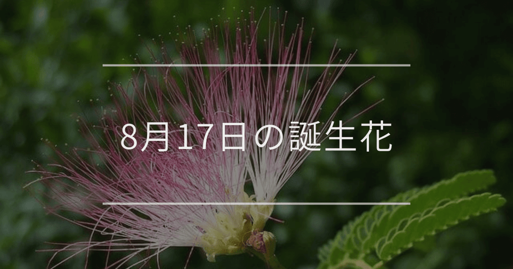 8月17日の誕生花：ネムノキ・ユリノキの花言葉など