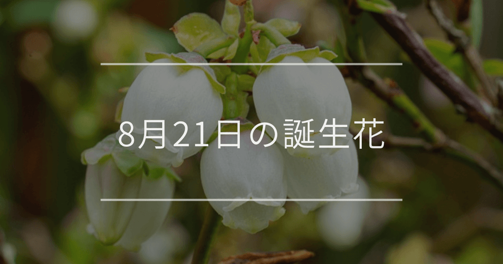 8月21日の誕生花：ブルーベリー・サギソウの花言葉など