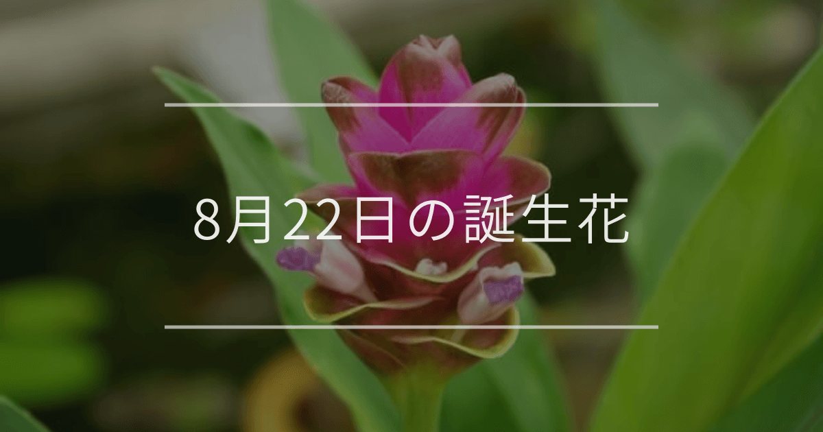 8月22日の誕生花