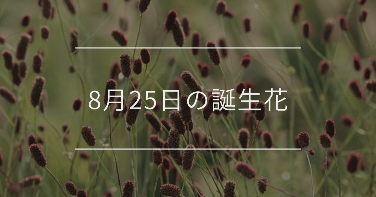 8月25日の誕生花