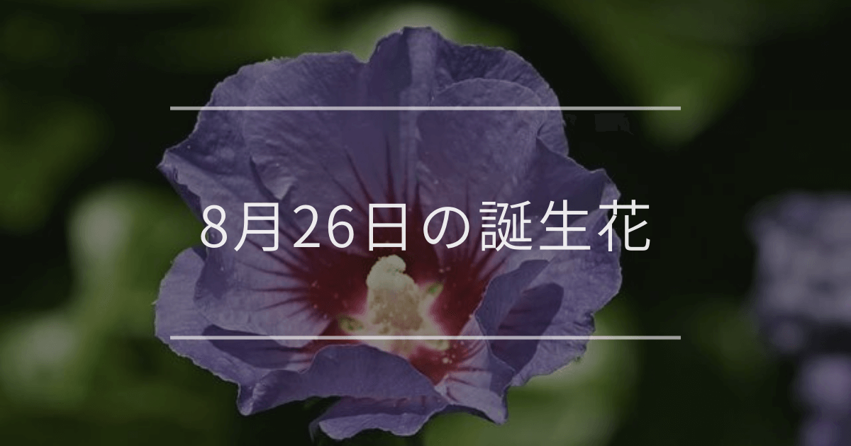 8月26日の誕生花