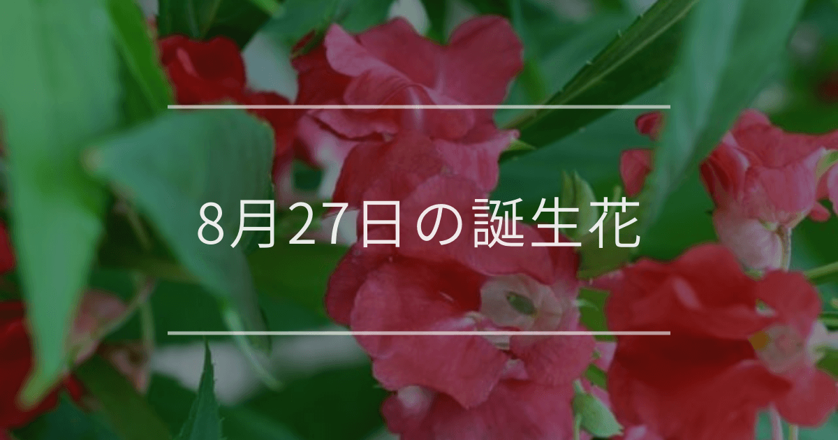 8月27日の誕生花