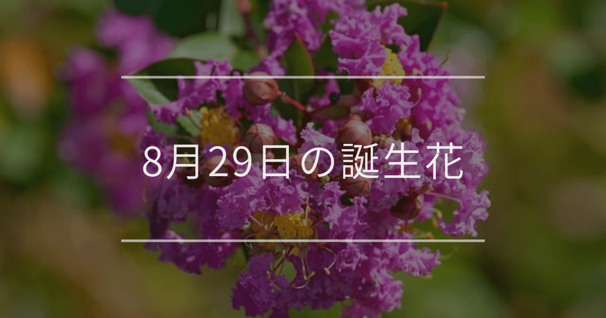 8月29日の誕生花