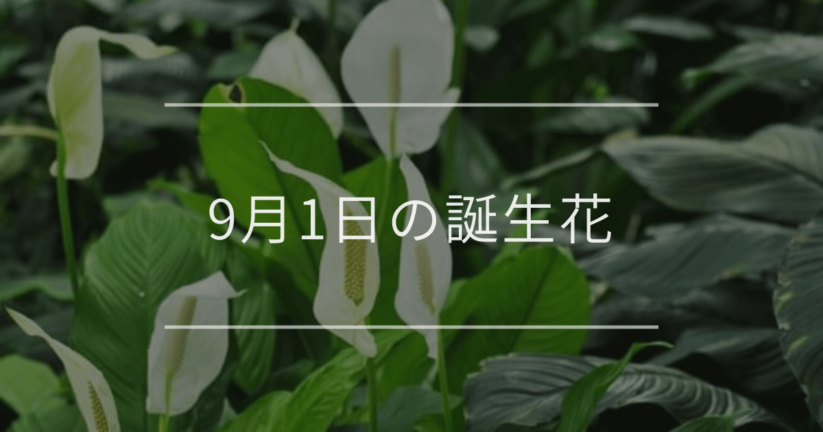 9月1日の誕生花