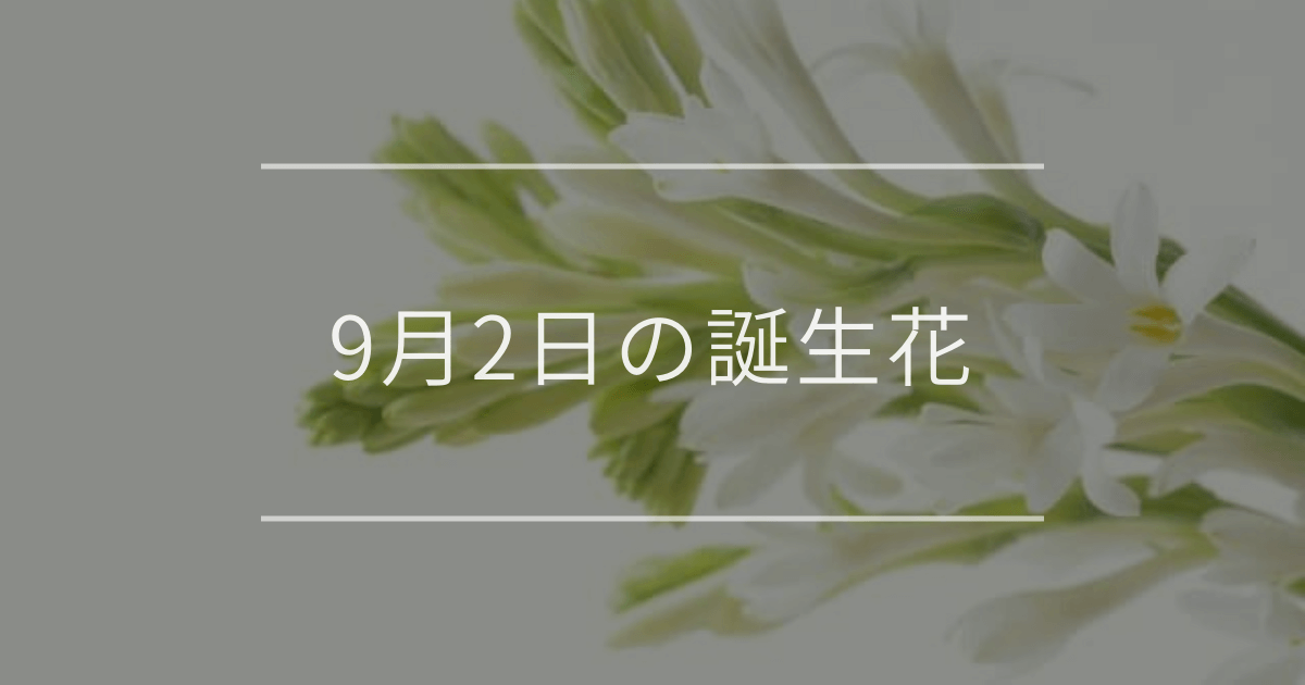 9月2日の誕生花